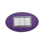 Purple / Silver border