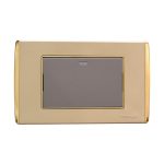 Matt Gold/Bright Gold Border