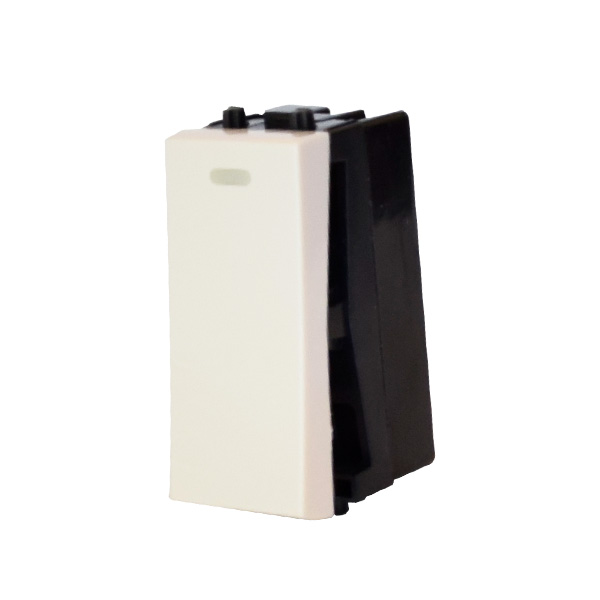 Double pole light switch module 20A, 250 V, 1M